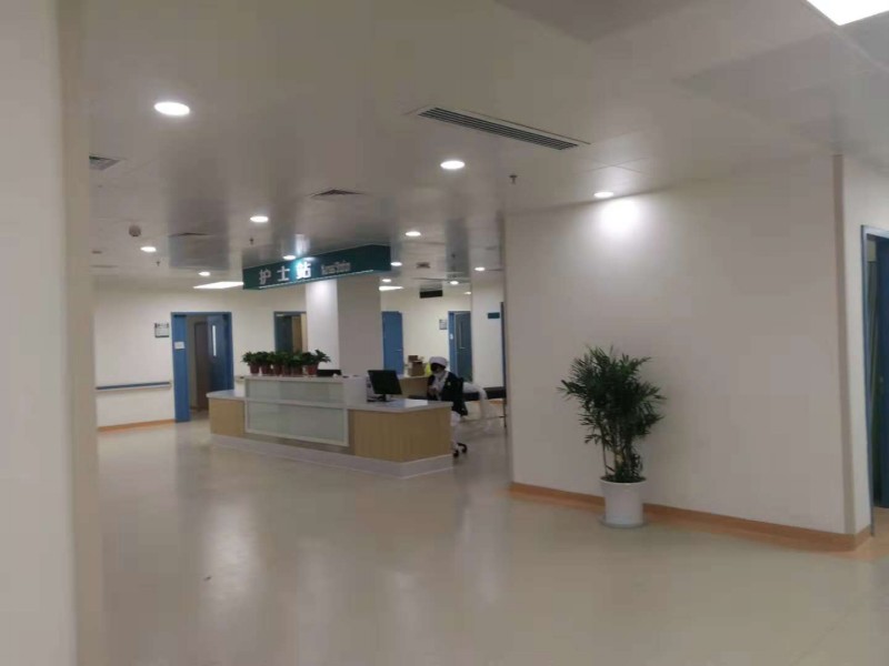 武漢協(xié)和醫(yī)院輕質(zhì)墻板工程施工案例